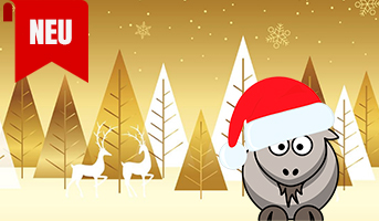 Adventskalender Wettbewerbe 2025