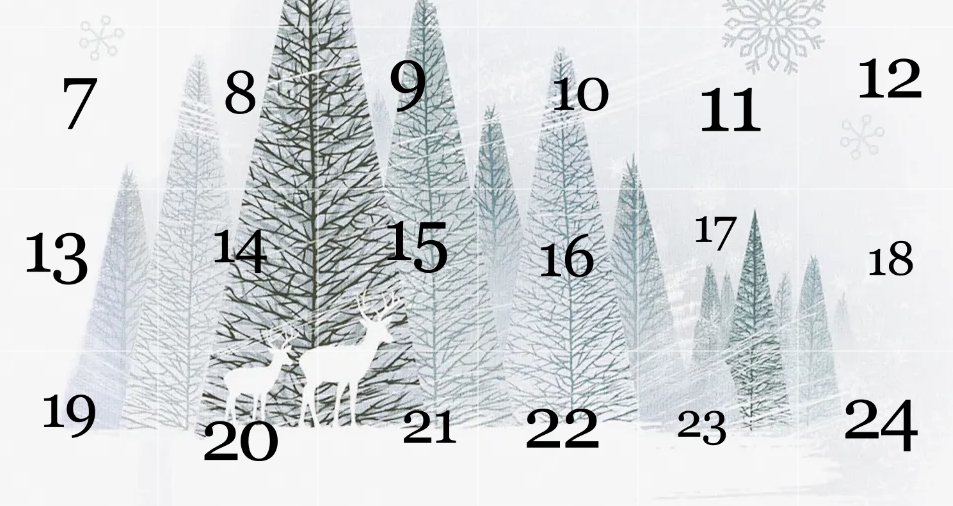NZZ Adventskalender