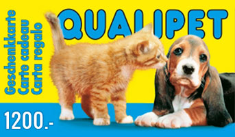 Qualipet Gutschein