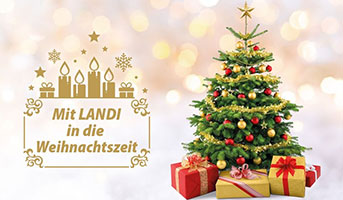 LANDI Weihnachtsbaum