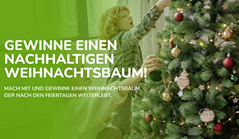 Weihnachtsbaum