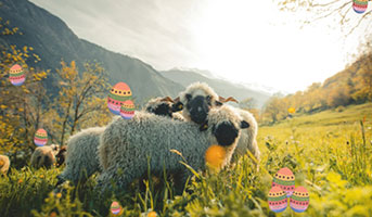 Wallis Ostergewinnspiel