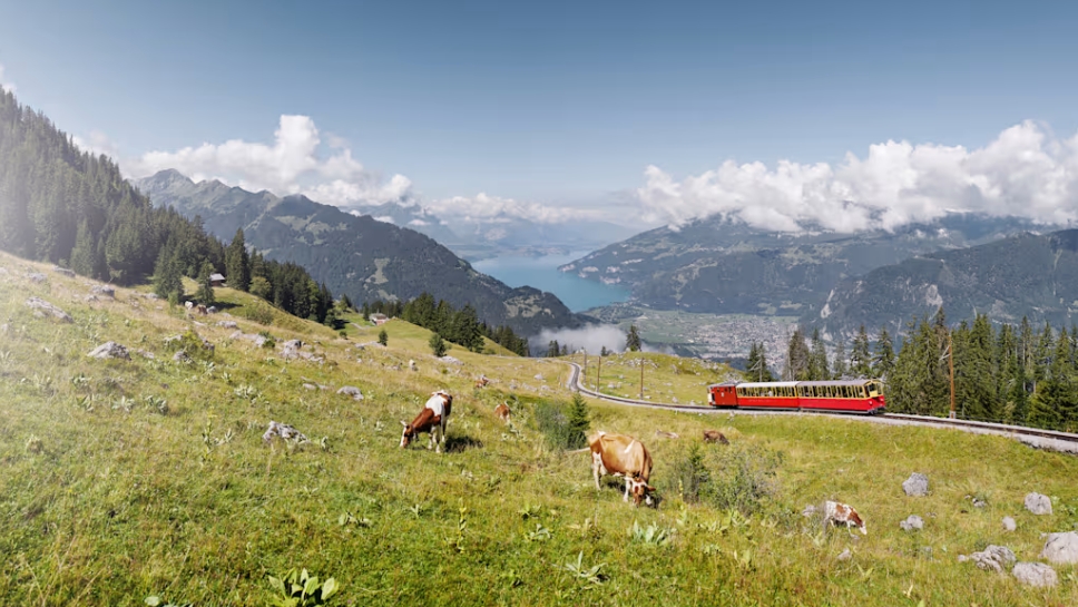 Schynige Platte Bahnfahrten gewinnen