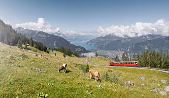 Bahnfahrt in der Natur