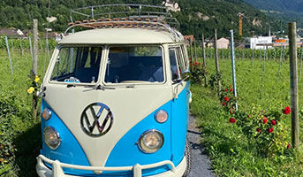 VW Bus